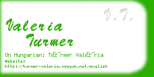 valeria turmer business card